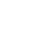 Flyers