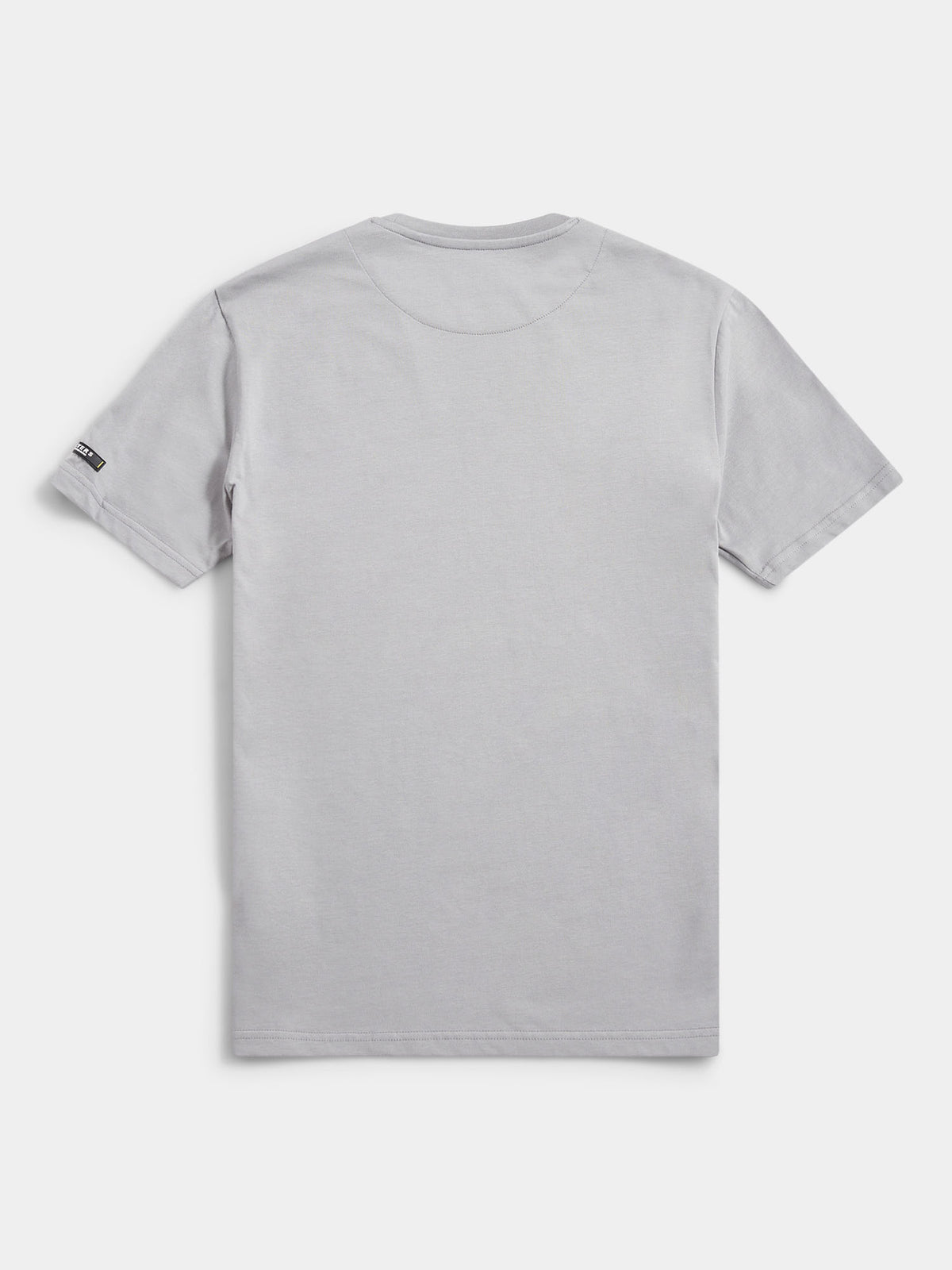 Flyers Mens Print T-Shirt Sharkskin